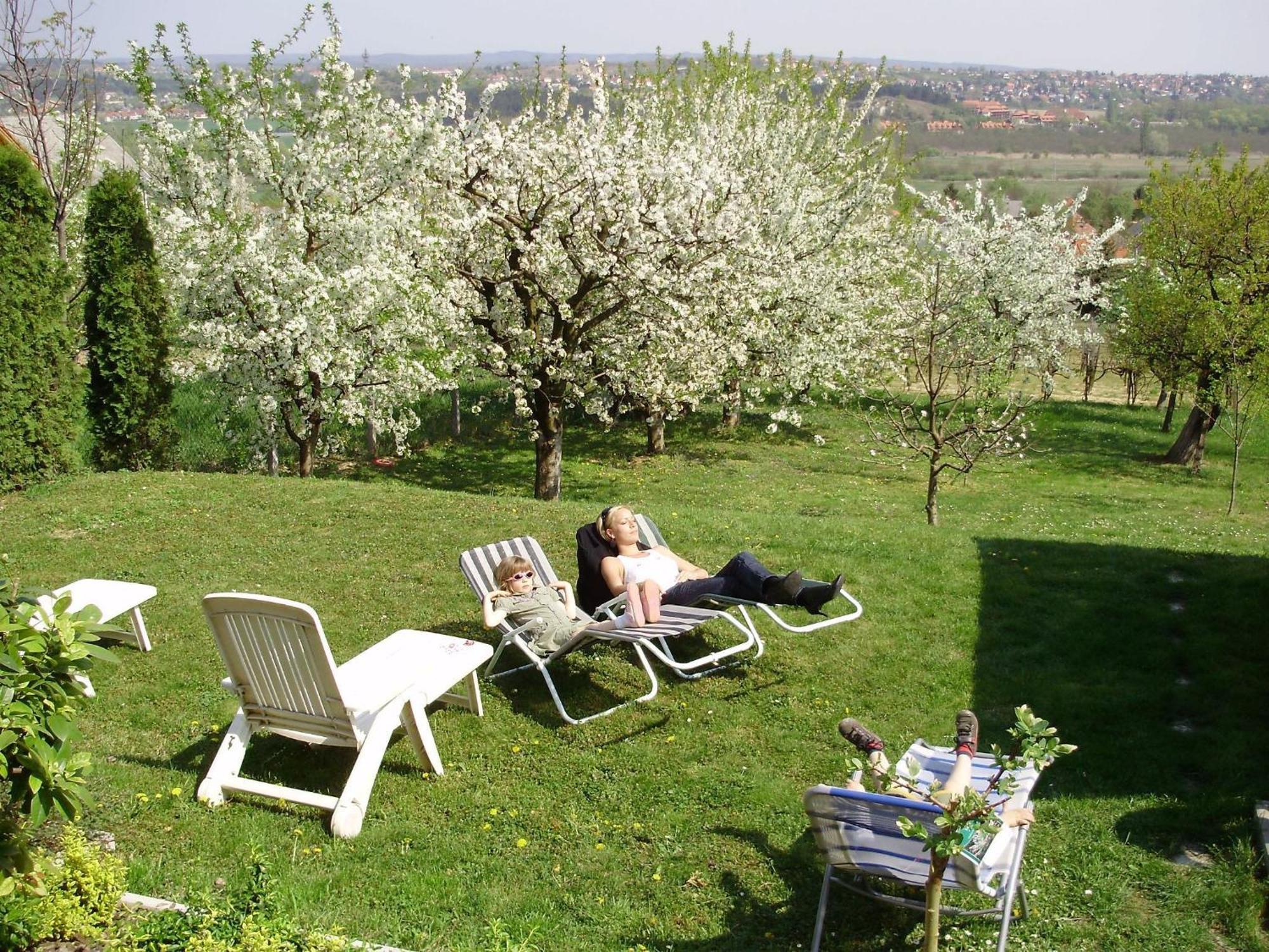 Apartman Berki Heviz Exterior foto