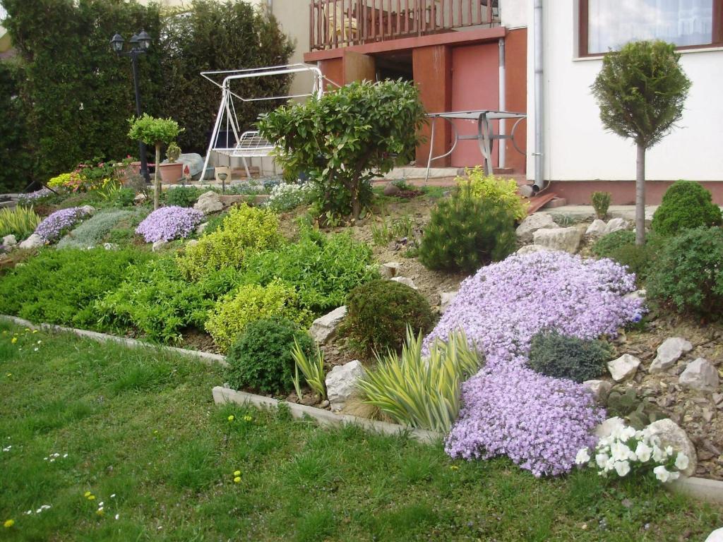 Apartman Berki Heviz Quarto foto
