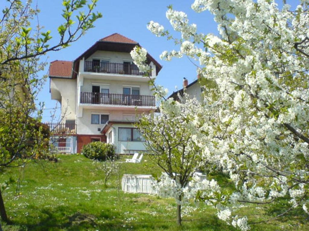 Apartman Berki Heviz Exterior foto